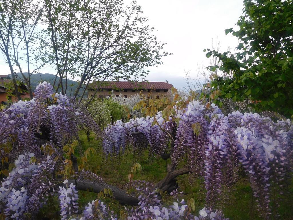 U Tej Bed and Breakfast Cumiana Exteriör bild